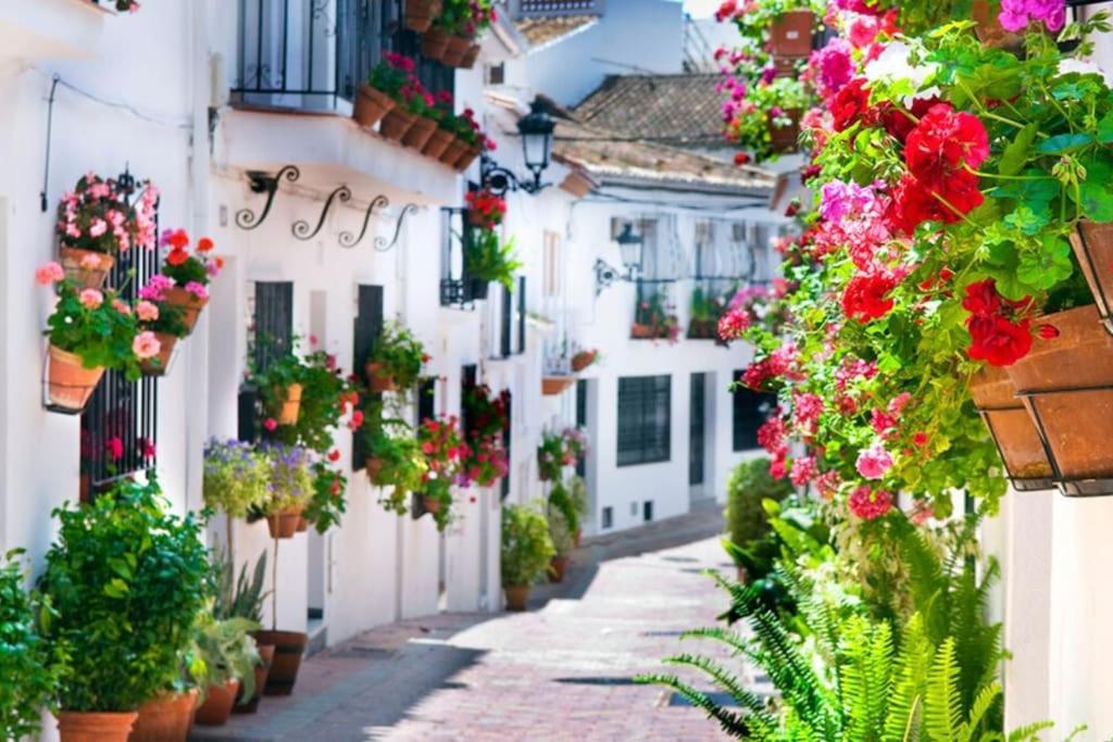 Studio Vista Costa Del Sol Benalmadena Bagian luar foto